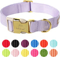 Nylon Dog Collar - Adjustable Lavender Soft Webbing Dog Collars for Small Medium Large Dogs Boy Girl Puppy Collar with Safety Metal Buckle S