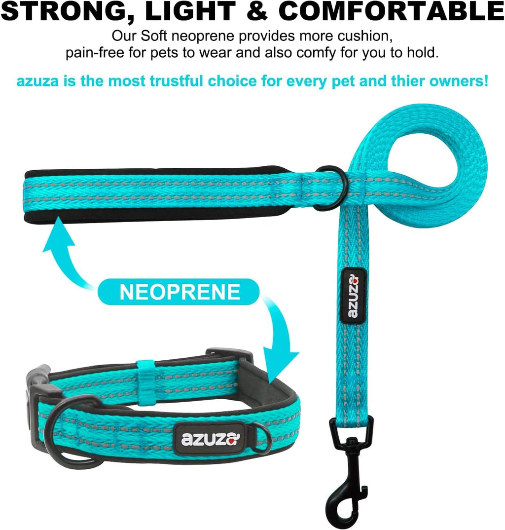 Durable Padded Dog Leash and Collar Set, with Airtag Holder and Reflective Strip, Extra Safe and Comfy for Medium Dogs,Blue