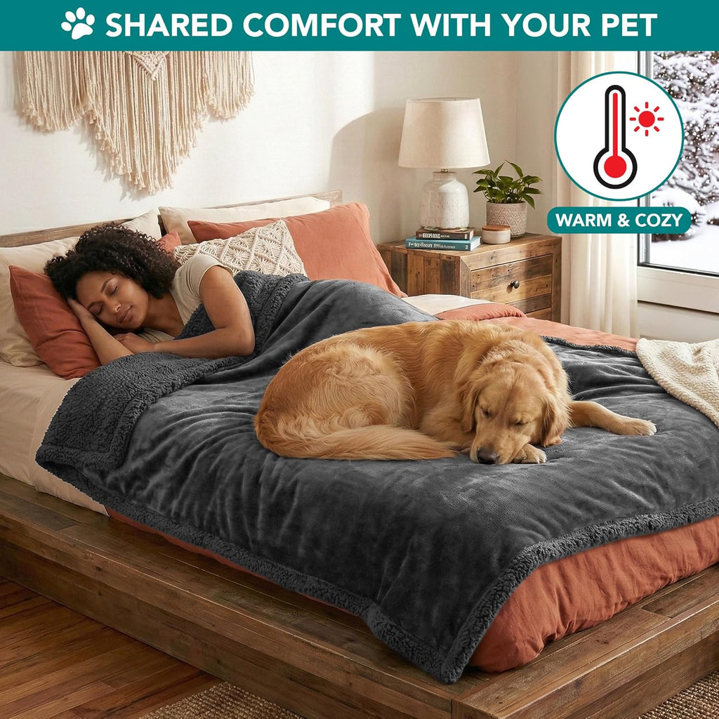 Dog Blanket for Medium Large Dogs and Pets, Soft Sherpa Fleece Pet Blanket Throw Cats Puppies, Reversible Plush Couch Cover Protector Sofa Bed Car Seat, Machine Washable, 80X60, Solid Dark Gray