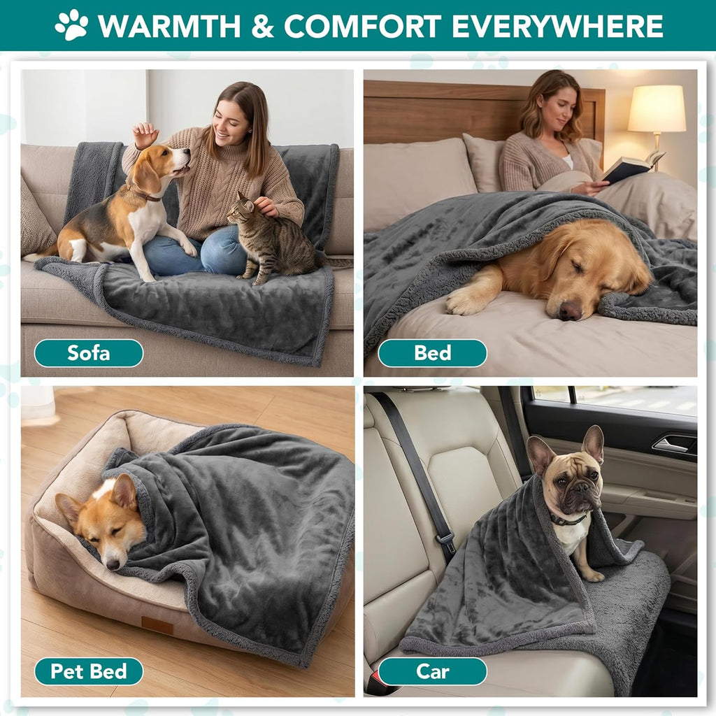 Dog Blanket for Medium Large Dogs and Pets, Soft Sherpa Fleece Pet Blanket Throw Cats Puppies, Reversible Plush Couch Cover Protector Sofa Bed Car Seat, Machine Washable, 80X60, Solid Dark Gray