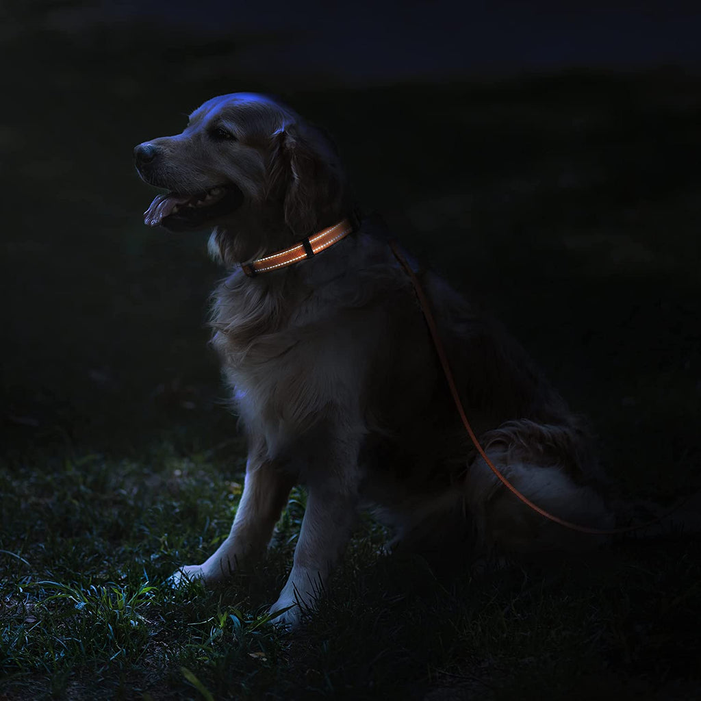 Reflective Dog Collar for a Small, Medium, Large Dog or Puppy with a Quick Release Buckle - Boy and Girl - Nylon Suitable for Swimming (Orange, 10-13 Inch)