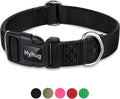 Black Dog Collar for Medium Dogs, Quick-Release Buckle, Adjustable | Sturdy Nylon, Adjustable Neck Fit. Great for Daily Walks, Park Play & Outdoor Hikes. Durable for Medium Breeds