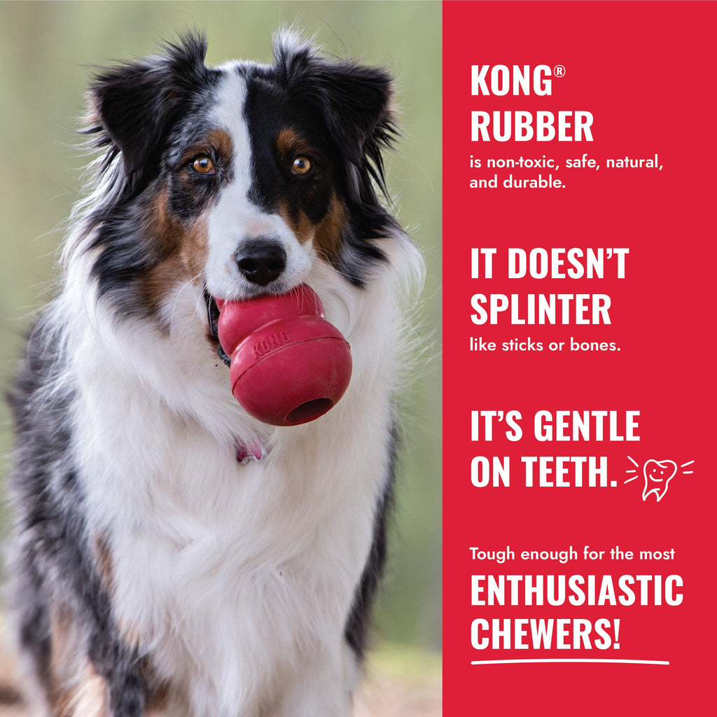 ® Classic Rubber Dog Toy for Average Chewers, Medium, for Dogs between 15-35 Lbs